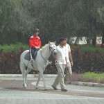 Child and Horse