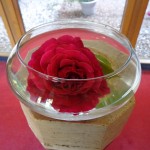 The Rose