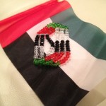 Celebrating 41st UAE National Day in Abu Dhabi