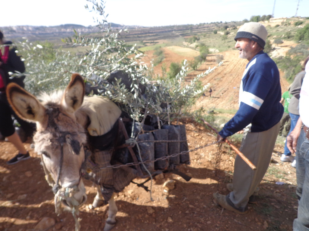 The Old man carrying Grace