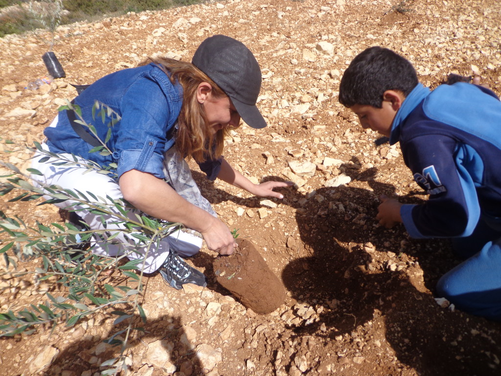 Planting Olive Tree in Palestine on Land Day